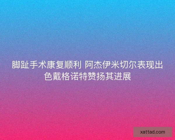 脚趾手术康复顺利 阿杰伊米切尔表现出色戴格诺特赞扬其进展