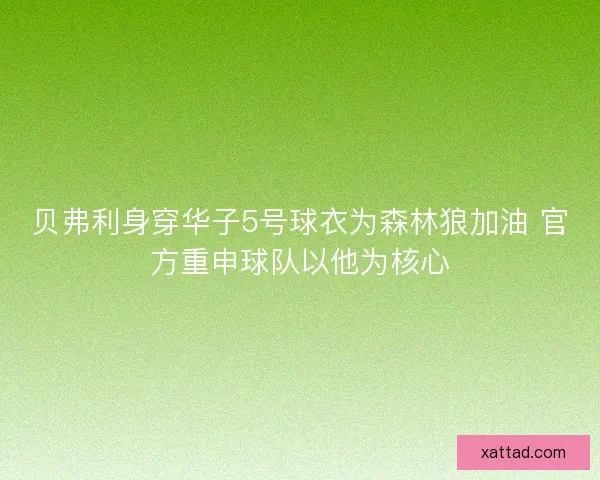 贝弗利身穿华子5号球衣为森林狼加油 官方重申球队以他为核心
